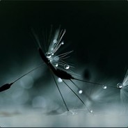 浪够了就回家。