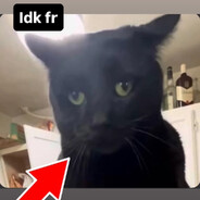 stun's avatar