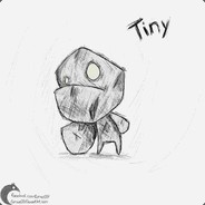 我们成功了！小石头