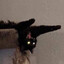 Avatar of bonsai cat