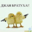 Бетон