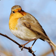 Rotmeise - steam id 76561197961190631