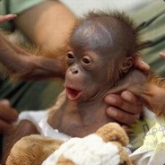 ЧИКИОБЕЗЬЯНА