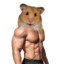 OldHamsterLord