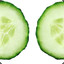 Cucumber Slice 3