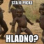 Idi BaBO u KURAC