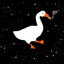 SpaceGoose_ZOV