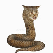 KZ | Каныбек Казыно