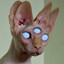 Steam avatar