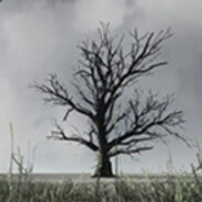 dkCS_ avatar
