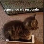 Me Elogia VIM DU KSS roBLOX