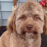 󠀡󠀡󠀡⁧⁧s9perstar - steam id 76561199769603229