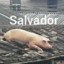 Salvador