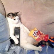 猫也要看电视吃薯片的