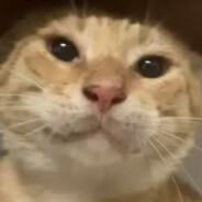 她说带了不算给