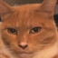 EPIC_CATPRO777