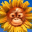 ape together strong