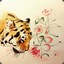 JN_shifu