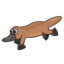 Platypus