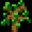 Sapling