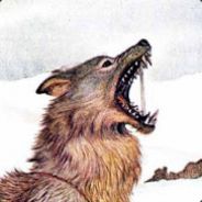 Fenris-Ulven