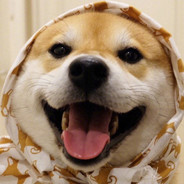 1945.9.2日本は無条件降