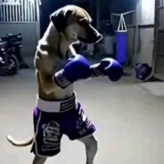 Дай бог не лоутаб!