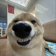 精神小伙、狗神