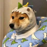 团队最终大脑哈基峰