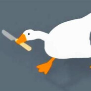 PYRODUCK