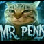 MR. PENIS