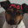 Mylly