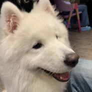 45岁内向纯情敏感小男生