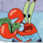 -Mr. Krabs-