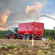 BOT (DieBombeFliegt)