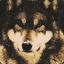 $_Werewolf_$