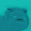 TakeAPotato