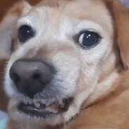 †deltafors usarmy donaltron