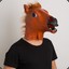 HorseHead