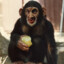 Bean Monke