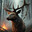 CatchableElk