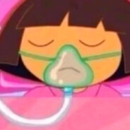 探不了险的朵拉