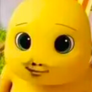 维新派~锐克丁真