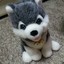 밍밍