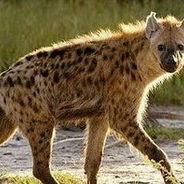 早点回家，真开心