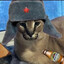 goose_123