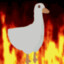 FireGoose