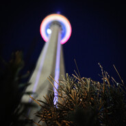 zqv - steam id 76561199019724800