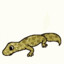 OkGeckoo