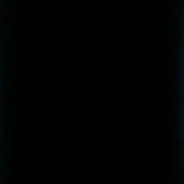 一对枪就喜欢睡觉